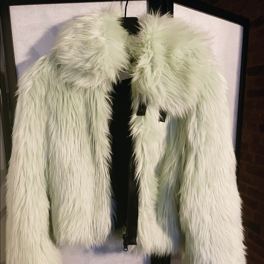 Aritzia Faux Fur Coat (M)